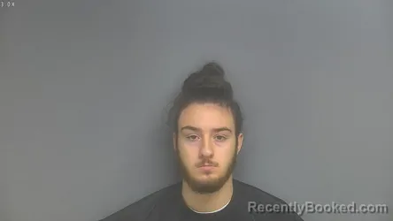 Mugshot of HAYDEN LIGHT