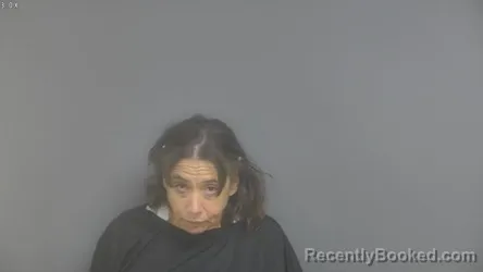 Mugshot of Kristy Rowland Harris booked in Campbell County, Virginia on August 17, 2026