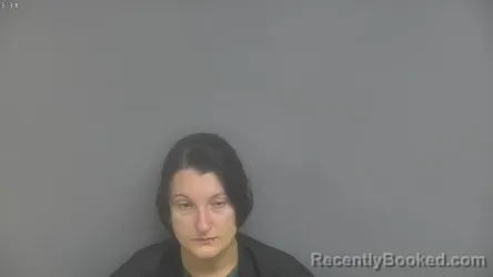 Mugshot of Leilana Diane Siobon Towsend booked in Campbell County, Virginia on September 13, 2026