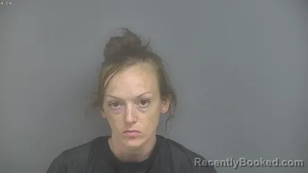 Mugshot of MEGAN MARIE ALLCOCK booked in Campbell County, Virginia on July 28, 2026