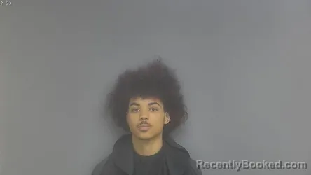 Mugshot of TYREL JESSE JONES booked in Campbell County, Virginia on July 13, 2026