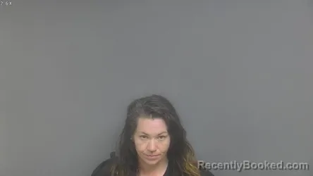 Mugshot of TABITHA LYNN SINES booked in Campbell County, Virginia on June 18, 2026