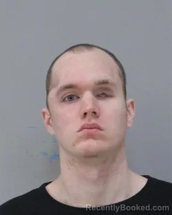 Mugshot of JOSHUA WYAN BRASWELL