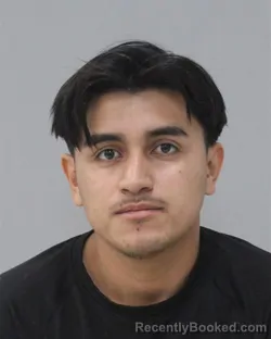 Mugshot of NOE MACHADO QUINTEROS
