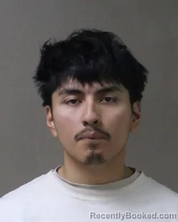 Mugshot of BRAYANT RIVERA