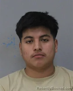 Mugshot of LINSAV ROBLERS ROBLERS