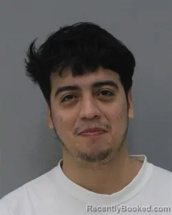 Mugshot of DANNY VASQUEZ ALAVA