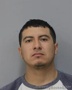 Mugshot of FERMIN BRAVO MORALES