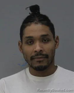 Mugshot of ENRIQUE ANDRES SOLIS MAGWOOD