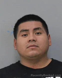 Mugshot of YARLIN MISAEL TOX CHOC