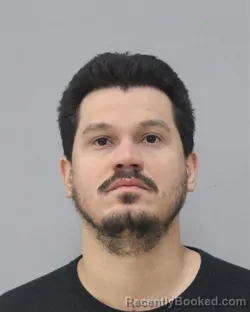 Mugshot of MITCH FIRMINO DA SILVA