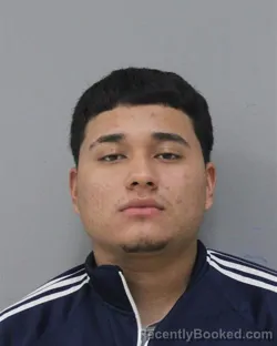 Mugshot of ELVIN NAJERA ALVAREZ