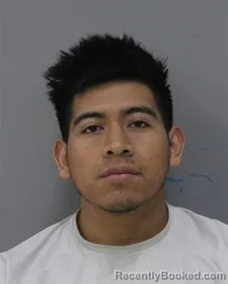 Mugshot of NELSON RUDY-PARTUI