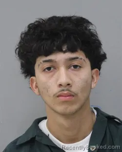 Mugshot of JEFFERSON RIVERA CHIRINO