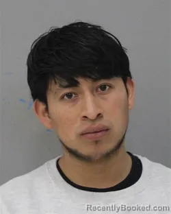 Mugshot of BRAYLIN PEREZ ARGUETA