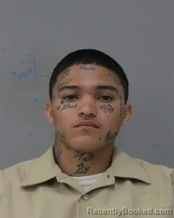 Mugshot of GERSON PAZ RAMOS