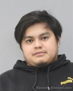 Mugshot of RONIELD BOGRAN