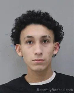 Mugshot of DOMINIC RIVERA-VILLANUEVA