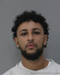 Mugshot of ISMAIL DELL