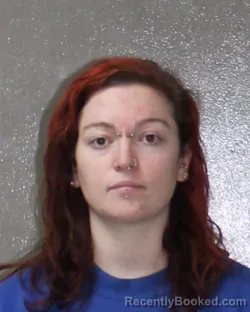 Mugshot of ALLISON NEWHART