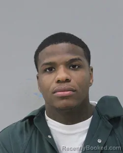 Mugshot of RICKY LEWIS BUSH