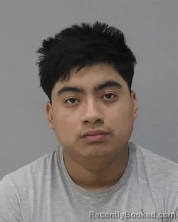 Mugshot of DIEGO CHE COL