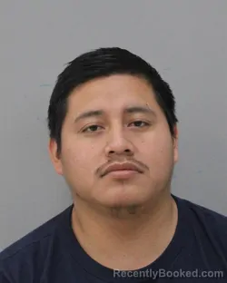 Mugshot of MAYNOR TUM PACHECO