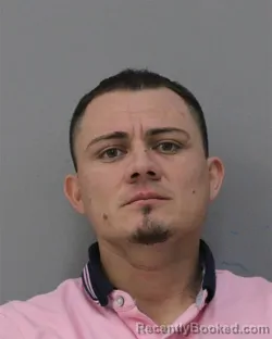 Mugshot of DANIS CASTRO CASTRO