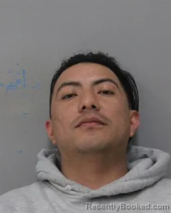 Mugshot of MARIO COLON MEJIA