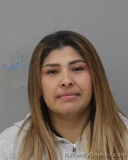 Mugshot of YANINA MARTINEZ SOSA