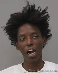 Mugshot of ANTOINEY BRIANNA LOVE