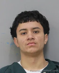 Mugshot of RICARDO ALEXANDER ORELLANA VEGA
