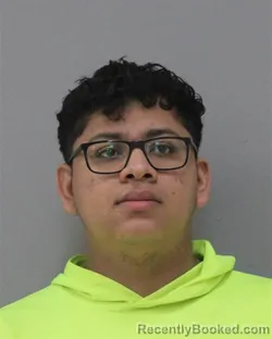 Mugshot of BRANDON FLORES GRIJALVA