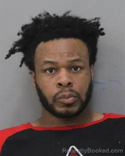 Mugshot of ARNOLD ABBA ANDOSON