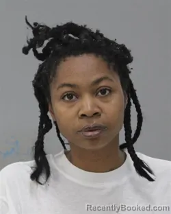 Mugshot of SHANELL ARMETT LEWIS-WILLIAMS