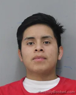 Mugshot of MAYNOR PEREZ LUIS