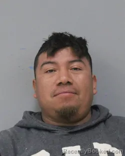 Mugshot of JULIO C ORTIZ SANIC