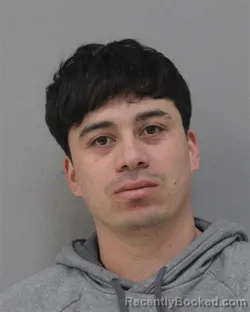 Mugshot of DENIS CHACON RAMIREZ