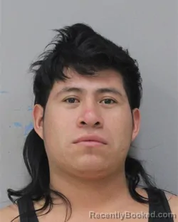 Mugshot of TOMAS HERNANDEZ JIMENEZ