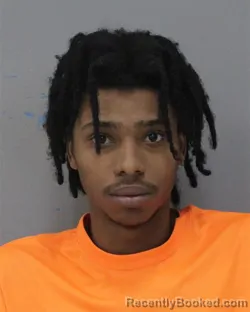 Mugshot of DELVINETTE ANTHONY STOKES