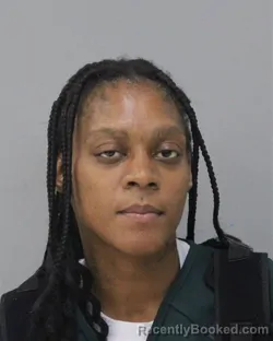 Mugshot of ERICA ANGELINA CURTIS