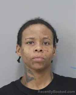 Mugshot of CHELSEA MONET HOUCHENS