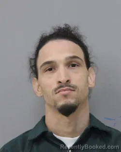 Mugshot of ALEXIS ADAMES TORESS