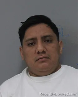 Mugshot of NICOLAS VELASQUEZ-QUINO
