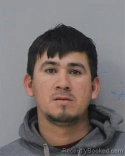 Mugshot of HECTOR JAIME CAPETILLO