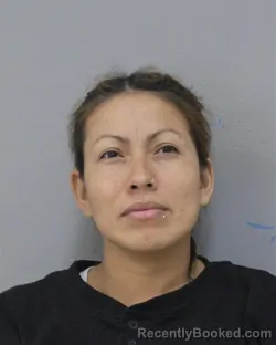 Mugshot of MARIA ZALDANA