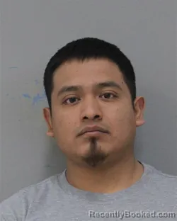 Mugshot of NELSON DOMINGO-DOMINGO