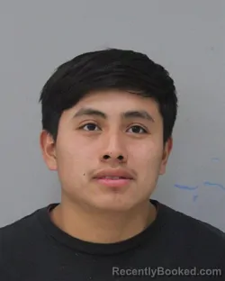 Mugshot of WILDER LOPEZ CHAVEZ