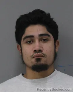 Mugshot of GERARDO LEMUS GONZALEZ