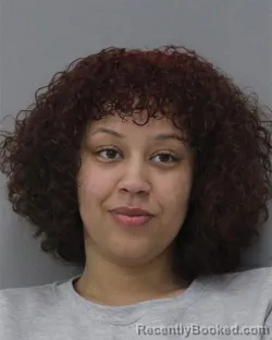 Mugshot of DREANNA LASHA THOMAS